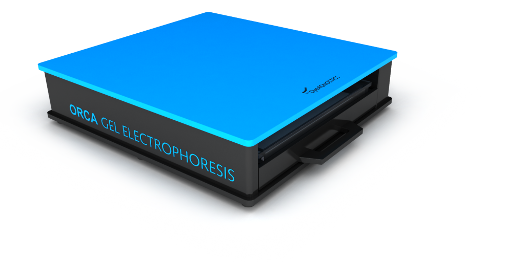 ORCA Gel Electrophoresis