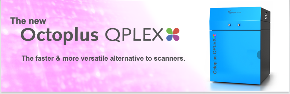 Bild Header Octoplus QPLEX: Schnelles und sensitive Aufnahmen von 2D-Gelen, die Alternative zu Fluoreszenz-Scannern