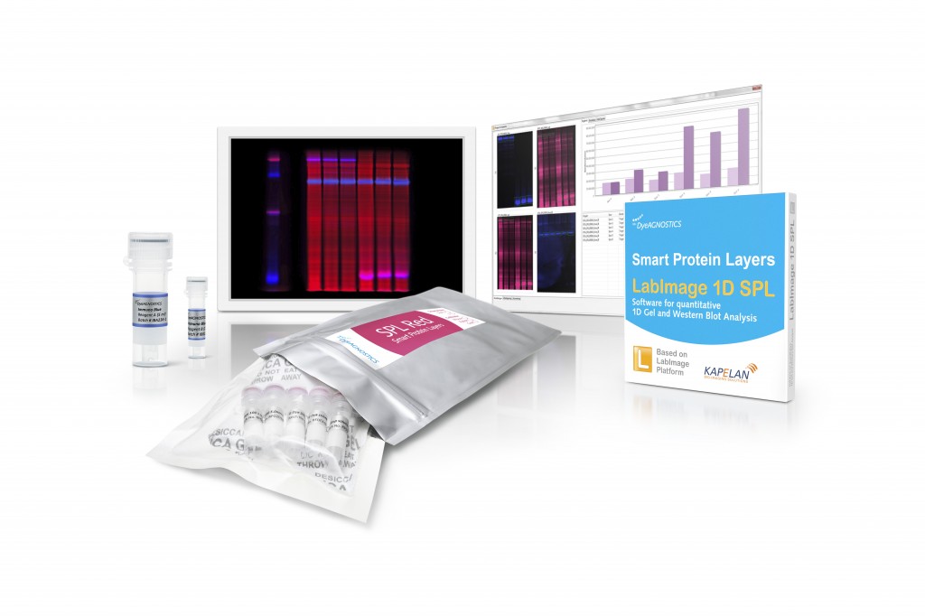 Image of Smart Protein Layers Kit for quantitative Western Blotting (Multiplex Western Blot) including Analysis and Quantification Software