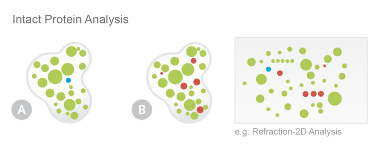 Abbildung NHD Protein Services Bespiel Differentielle Proteinanalyse von intakten Proteinen