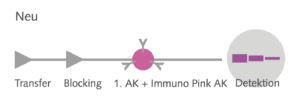 Immuno Pink Detection Kit - Schema